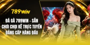 Đá gà 789win - Sân chơi chọi kê trực tuyến đẳng cấp hàng đầu