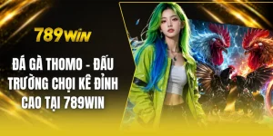 Đá gà thomo - Đấu trường chọi kê đỉnh cao tại 789win